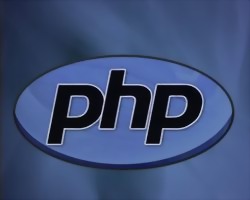 Кто должен учить язык PHP